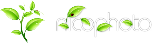 nicophoto logo